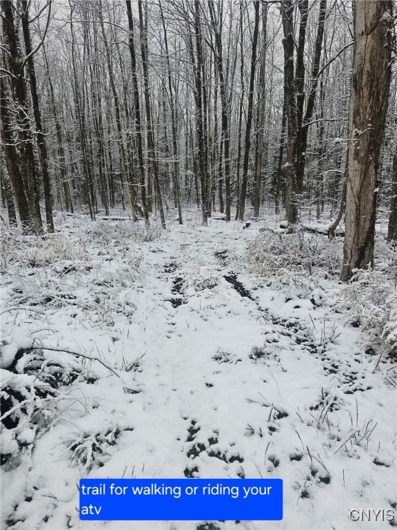 8007 Kimball Road Vienna, NY 13308 - Photo 32 of 39