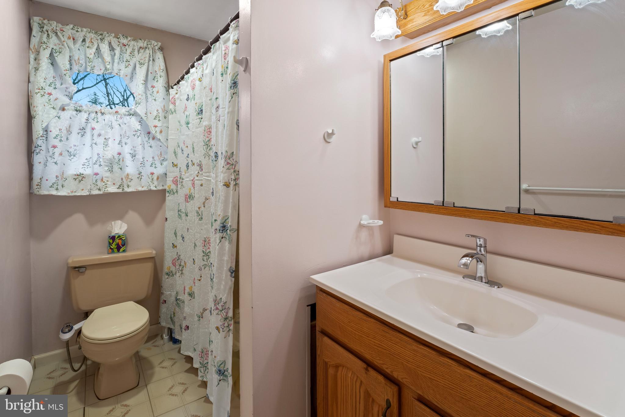 117 East 12th Avenue Pine Hill, NJ 08021 - Photo 12 of 19 a bathroom with a sink a toilet and shower curtain