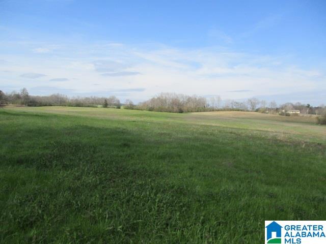 160 Highway Parcel Al, Unit 1 Cleveland, AL 35049 - Photo 1 of 10