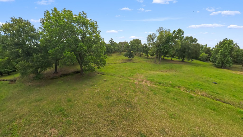 380 An County Road Palestine, TX 75803 - Photo 61 of 62