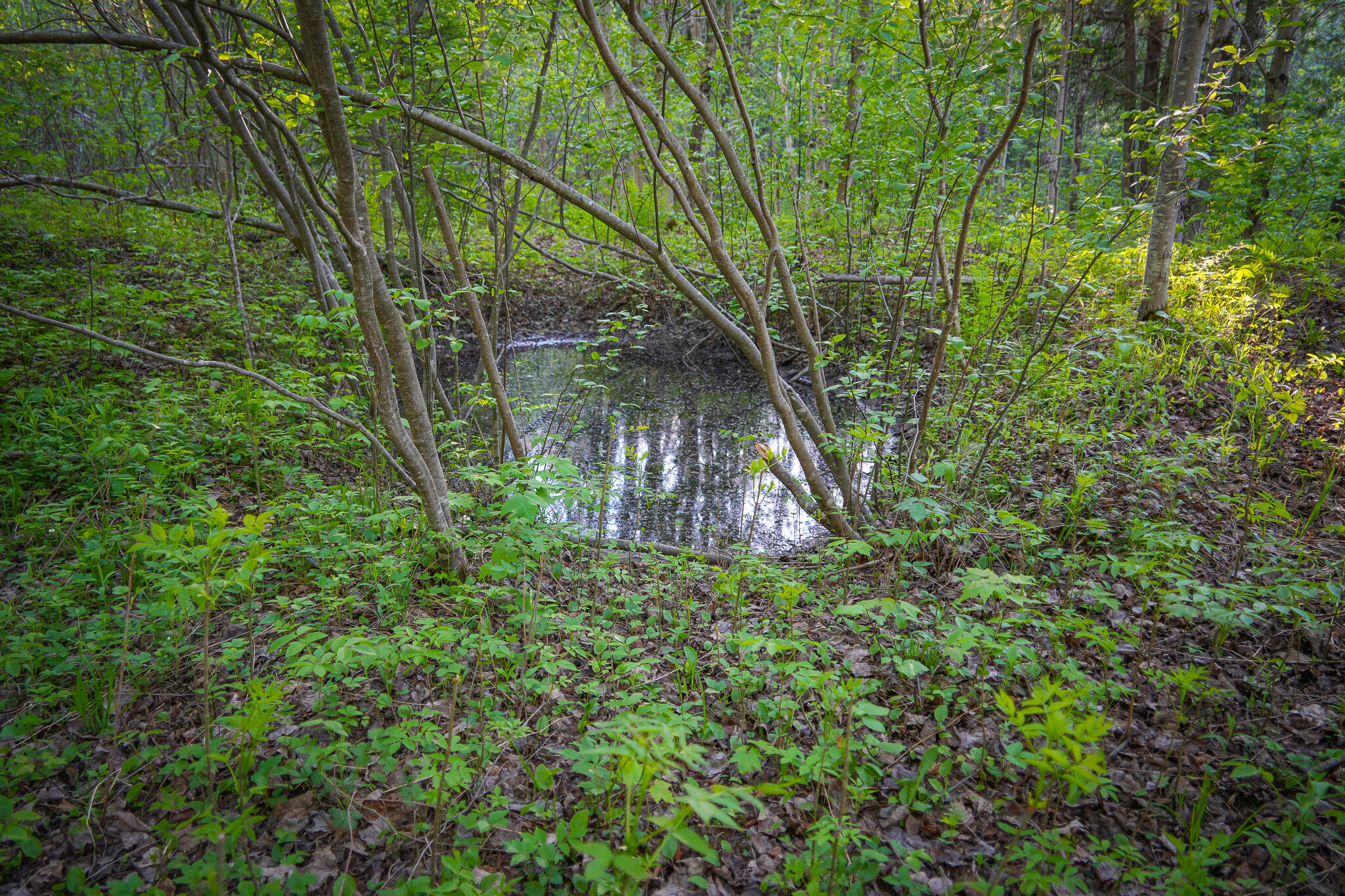 V/l V/l 33rd Road Perkins, MI 49872 - Photo 41 of 70 DSC00067