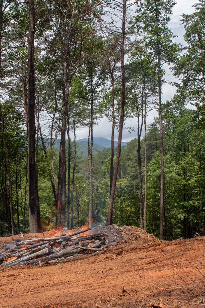 2 Clay's Way Cherry Log, GA 30522 - Photo 2 of 10 a view of road with trees