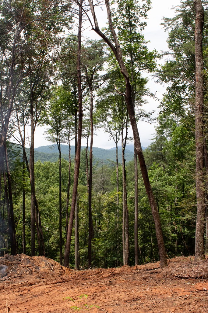 2 Clay's Way Cherry Log, GA 30522 - Photo 6 of 13