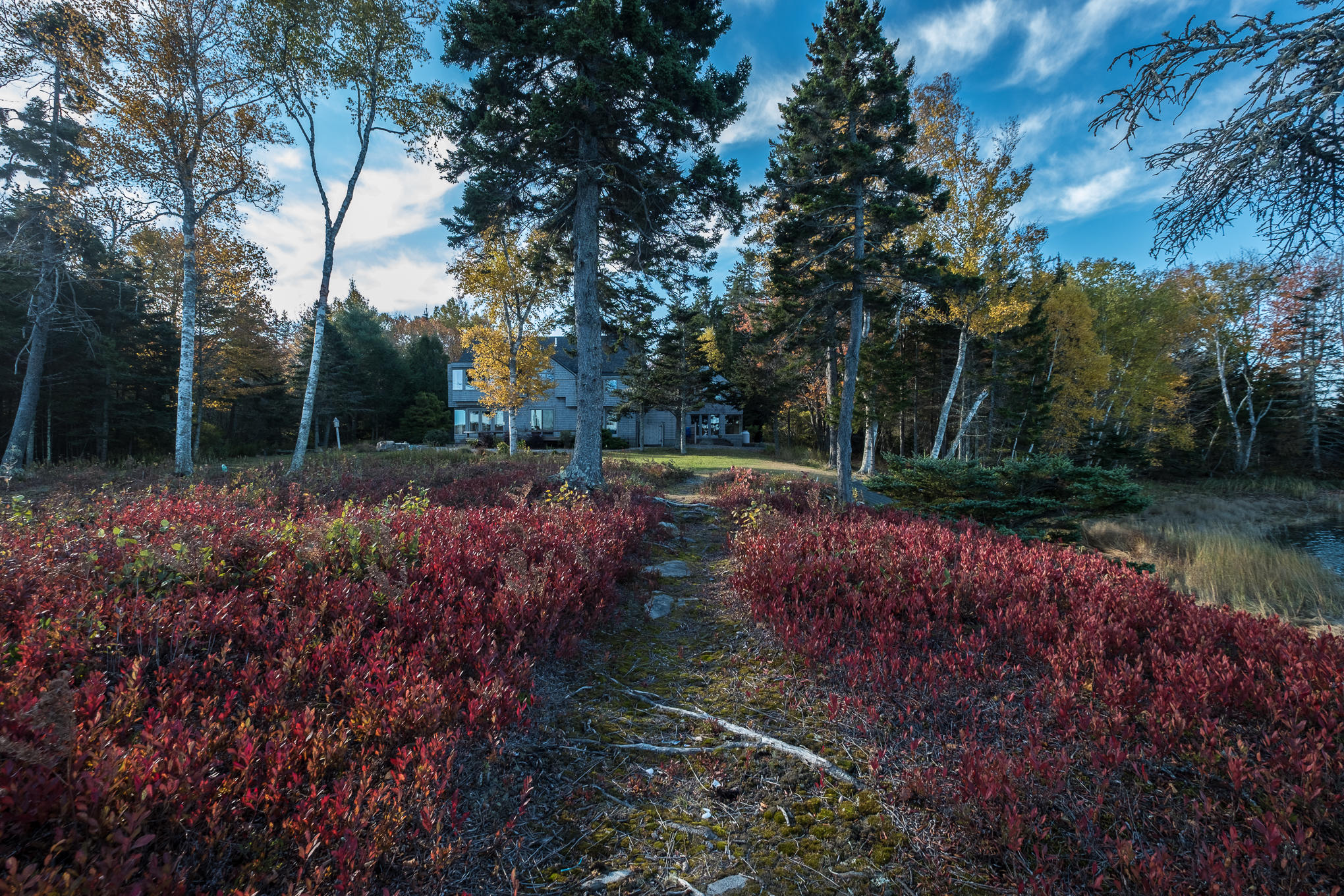 561 Island Avenue St. George, ME 04859 - Photo 6 of 69 561 Island Ave - Rackliff Island - MB62