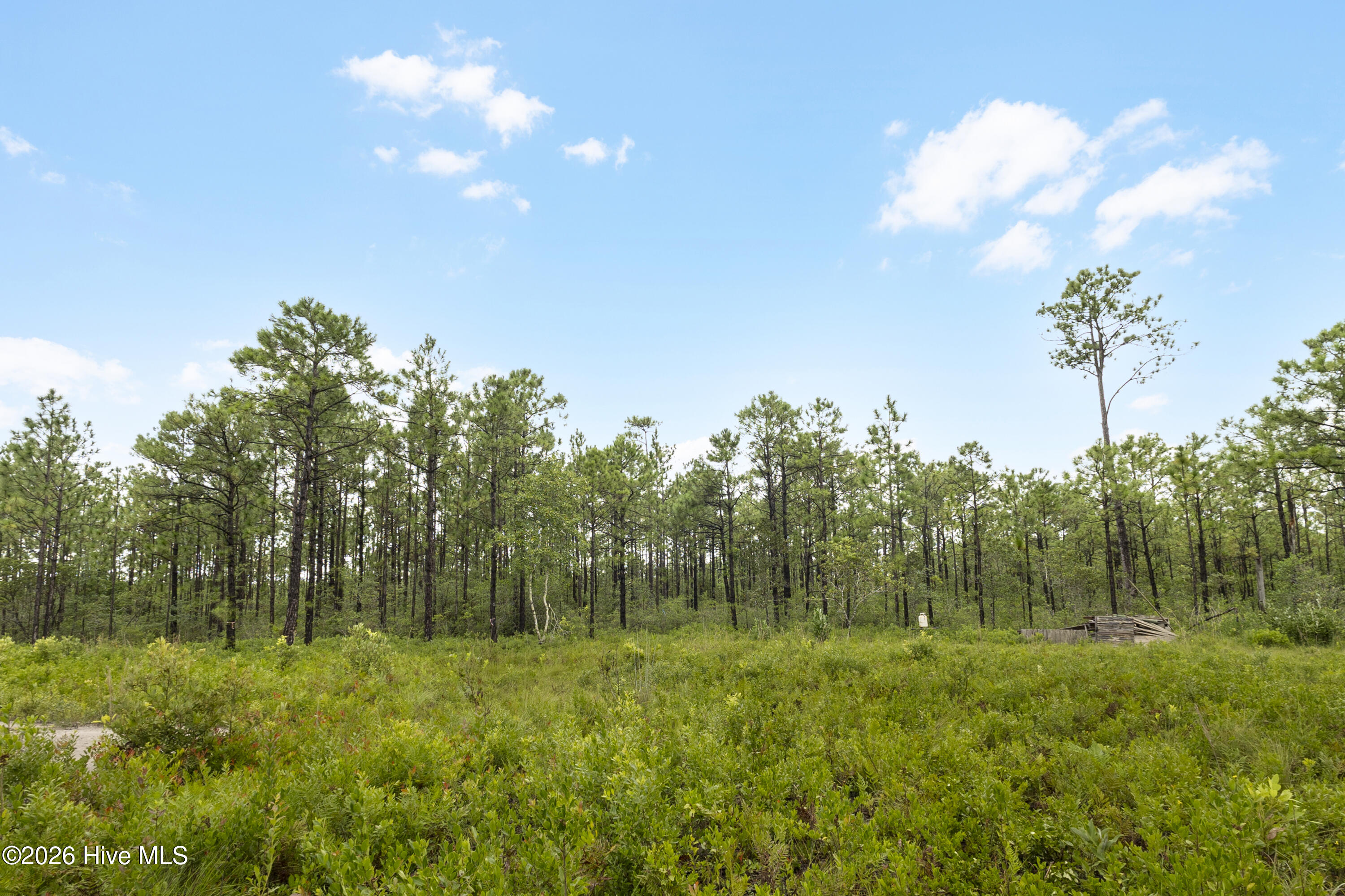 3 Highway 17 Holly Ridge, NC 28445 - Photo 20 of 26 IMG_2513