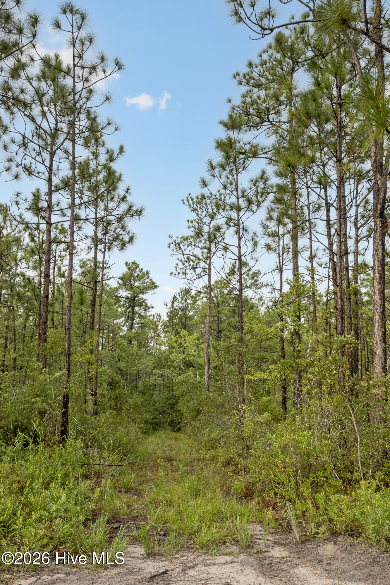 3 Highway 17 Holly Ridge, NC 28445 - Photo 22 of 26 IMG_2525