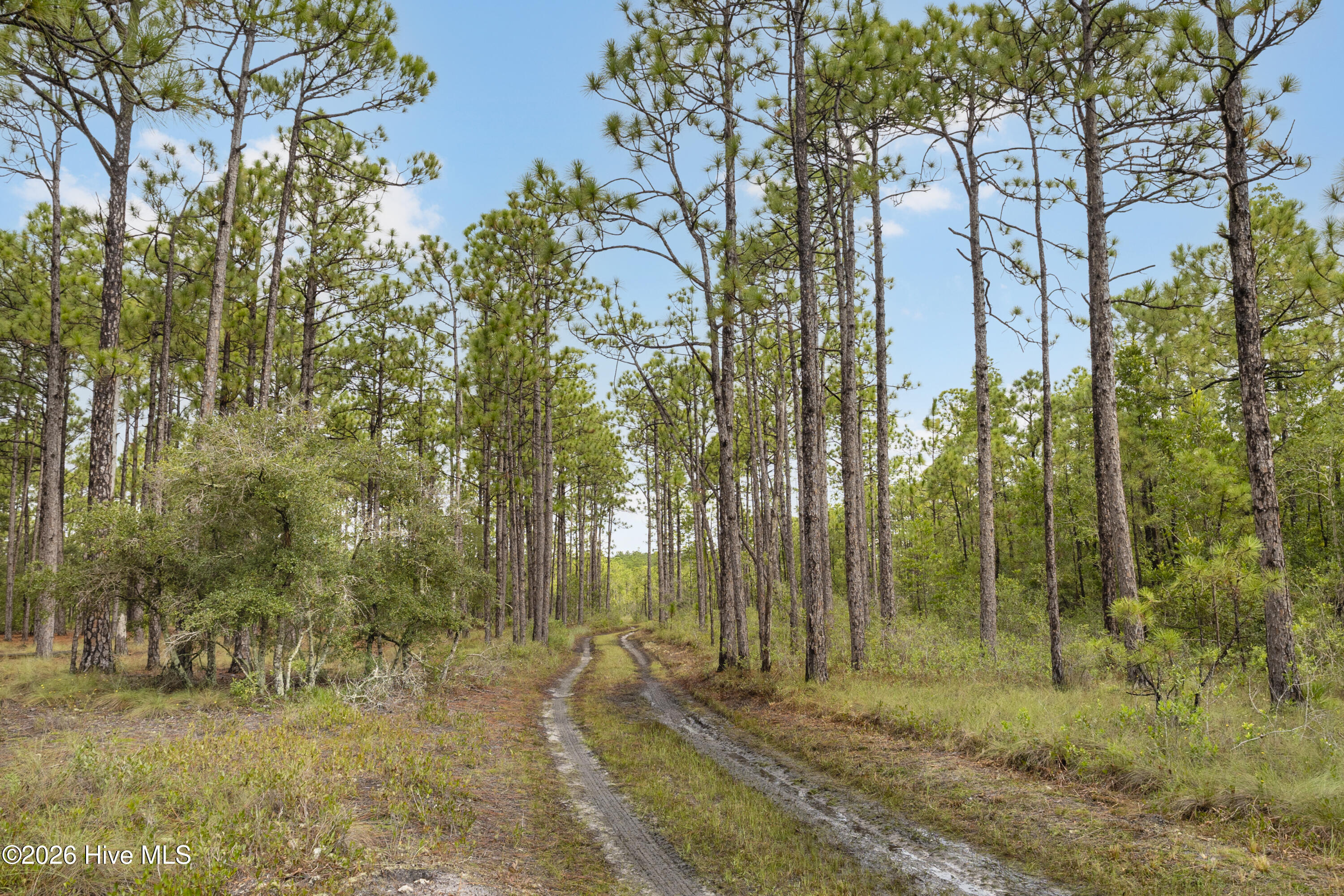 3 Highway 17 Holly Ridge, NC 28445 - Photo 24 of 26 IMG_2534
