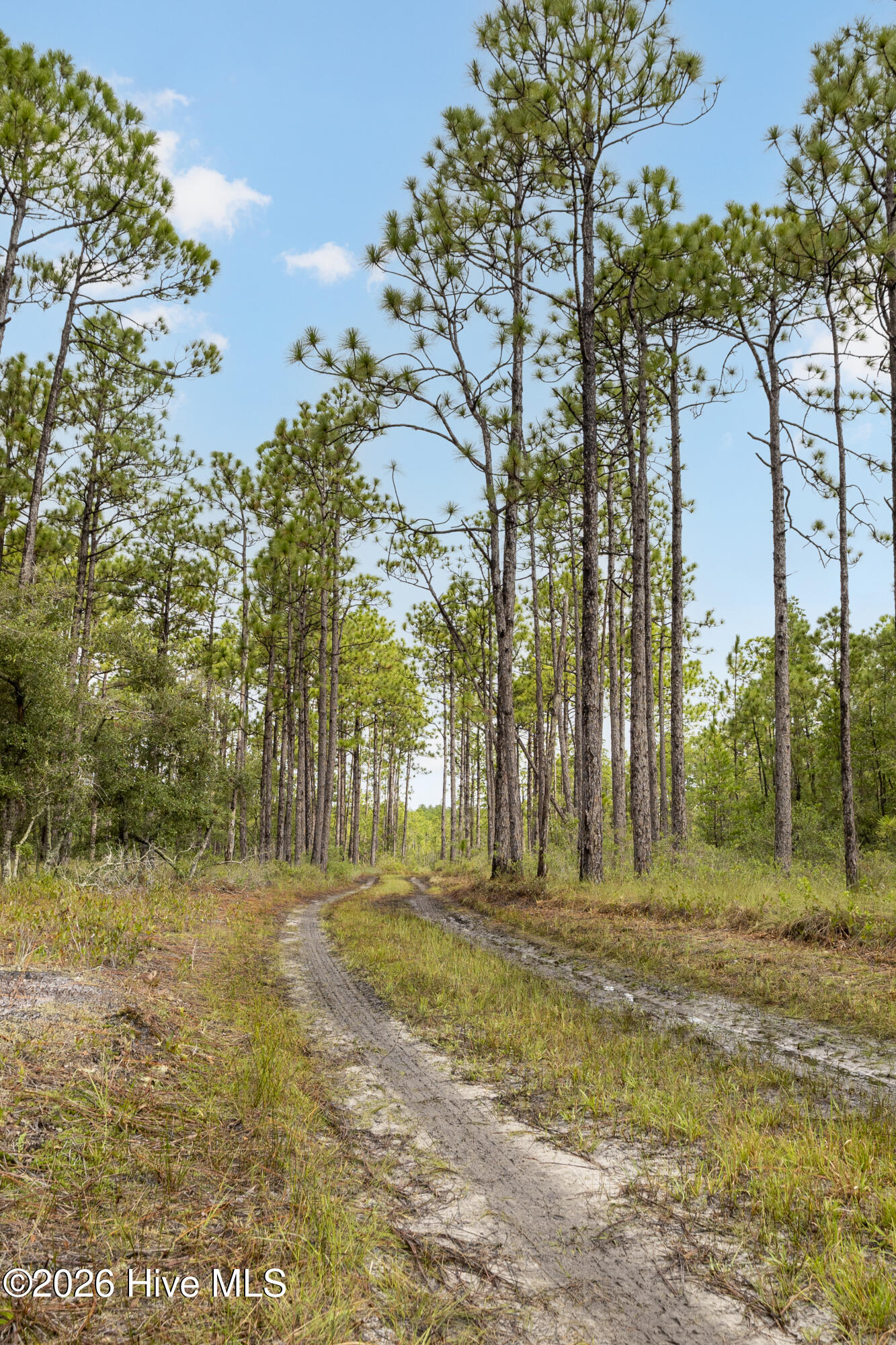 3 Highway 17 Holly Ridge, NC 28445 - Photo 25 of 26 IMG_2537