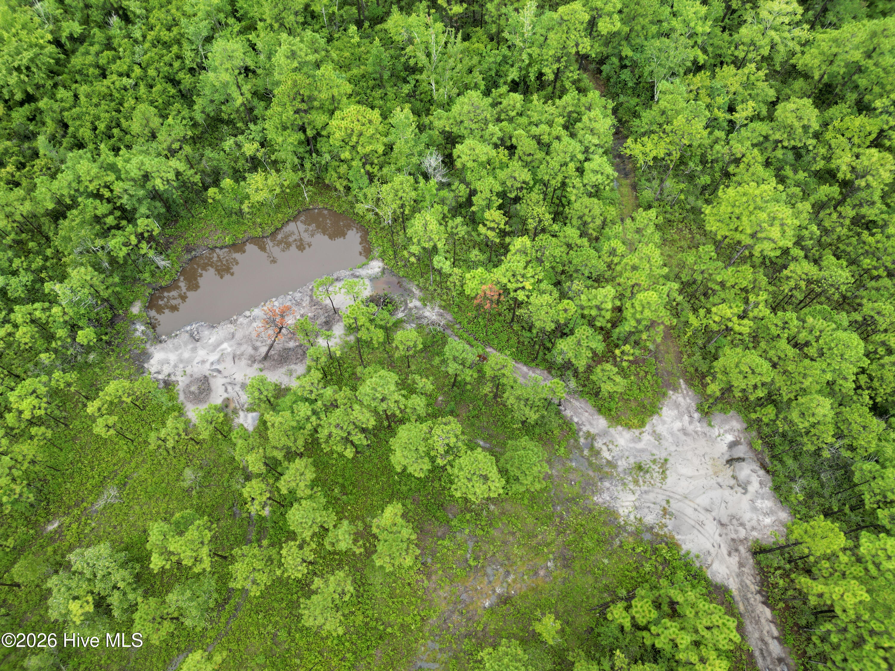 3 Highway 17 Holly Ridge, NC 28445 - Photo 4 of 26 DJI_0577