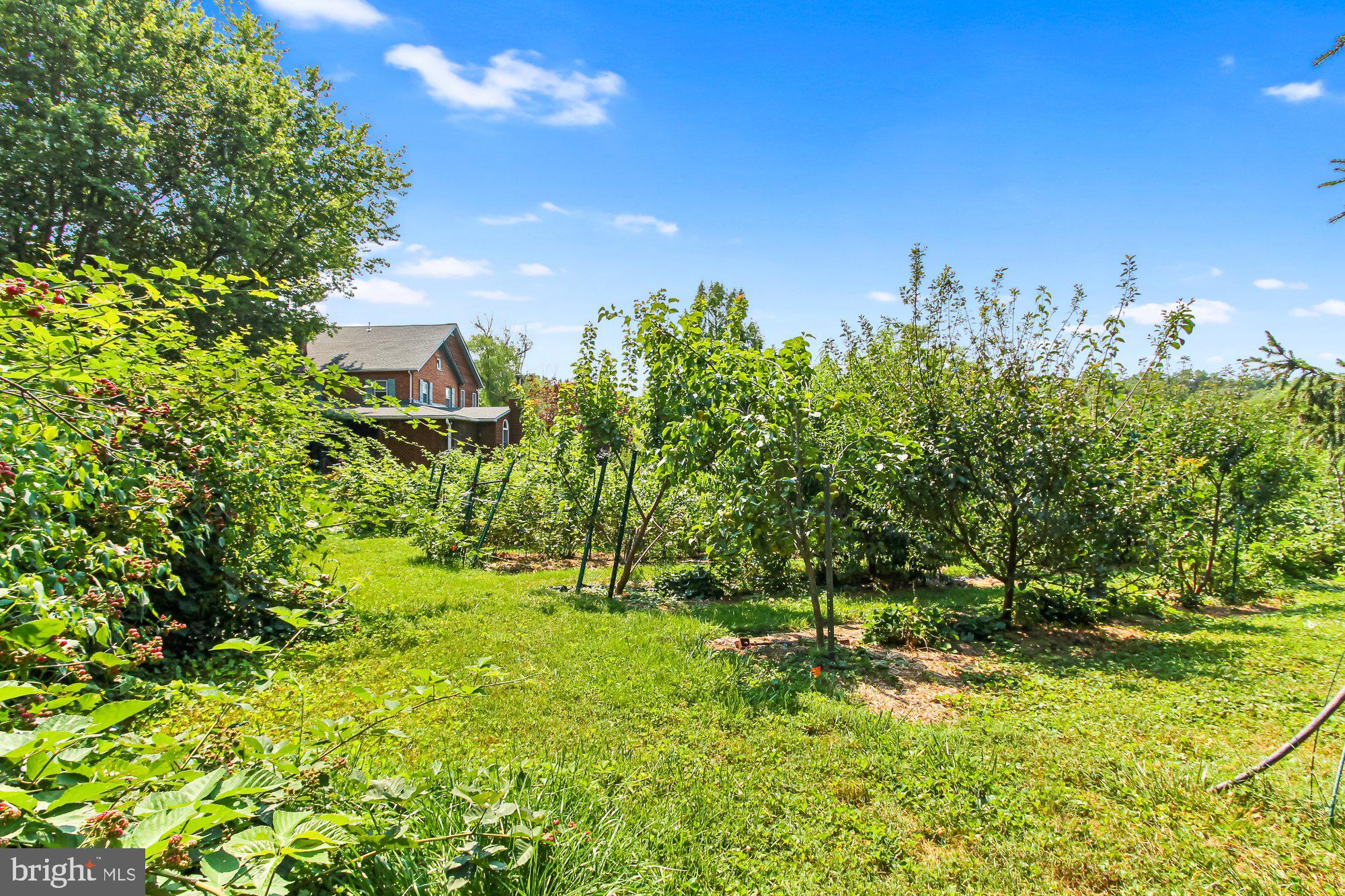 5431 Lineboro Road Manchester, MD 21102 - Photo 48 of 73