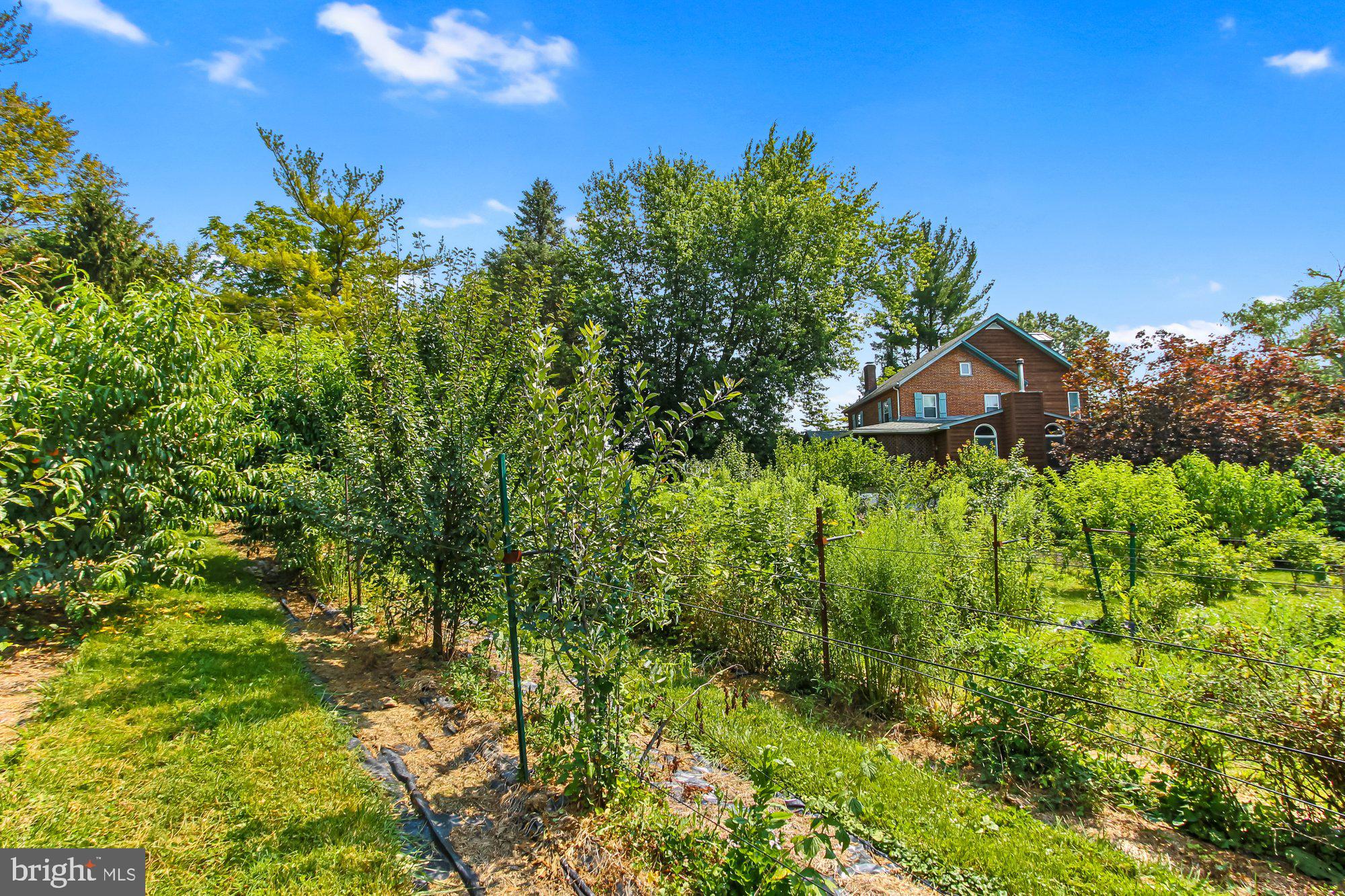 5431 Lineboro Road Manchester, MD 21102 - Photo 50 of 73