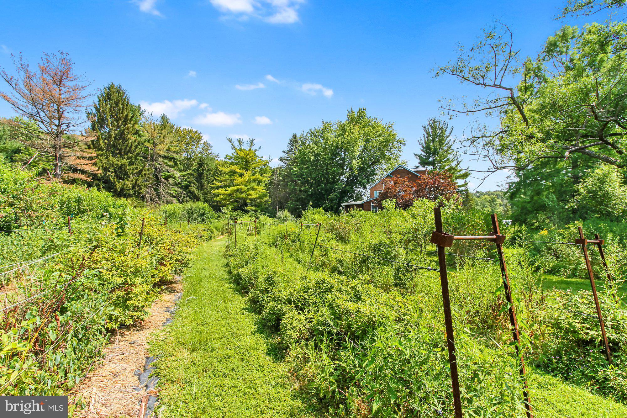 5431 Lineboro Road Manchester, MD 21102 - Photo 51 of 73