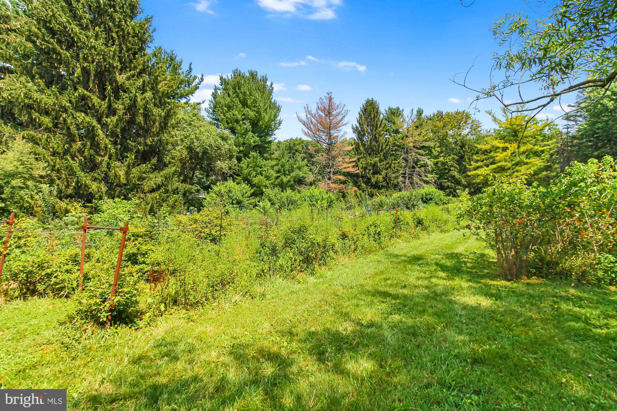 5431 Lineboro Road Manchester, MD 21102 - Photo 52 of 73