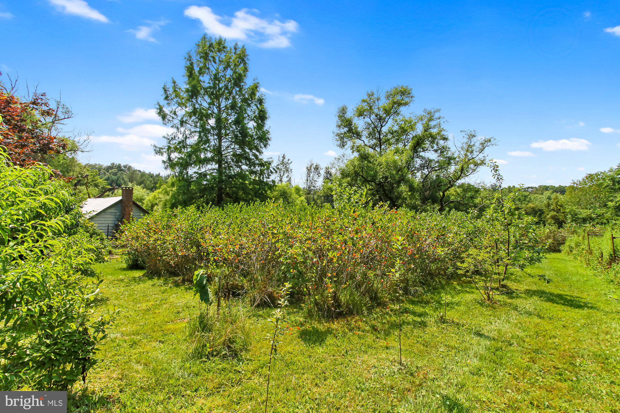 5431 Lineboro Road Manchester, MD 21102 - Photo 53 of 73