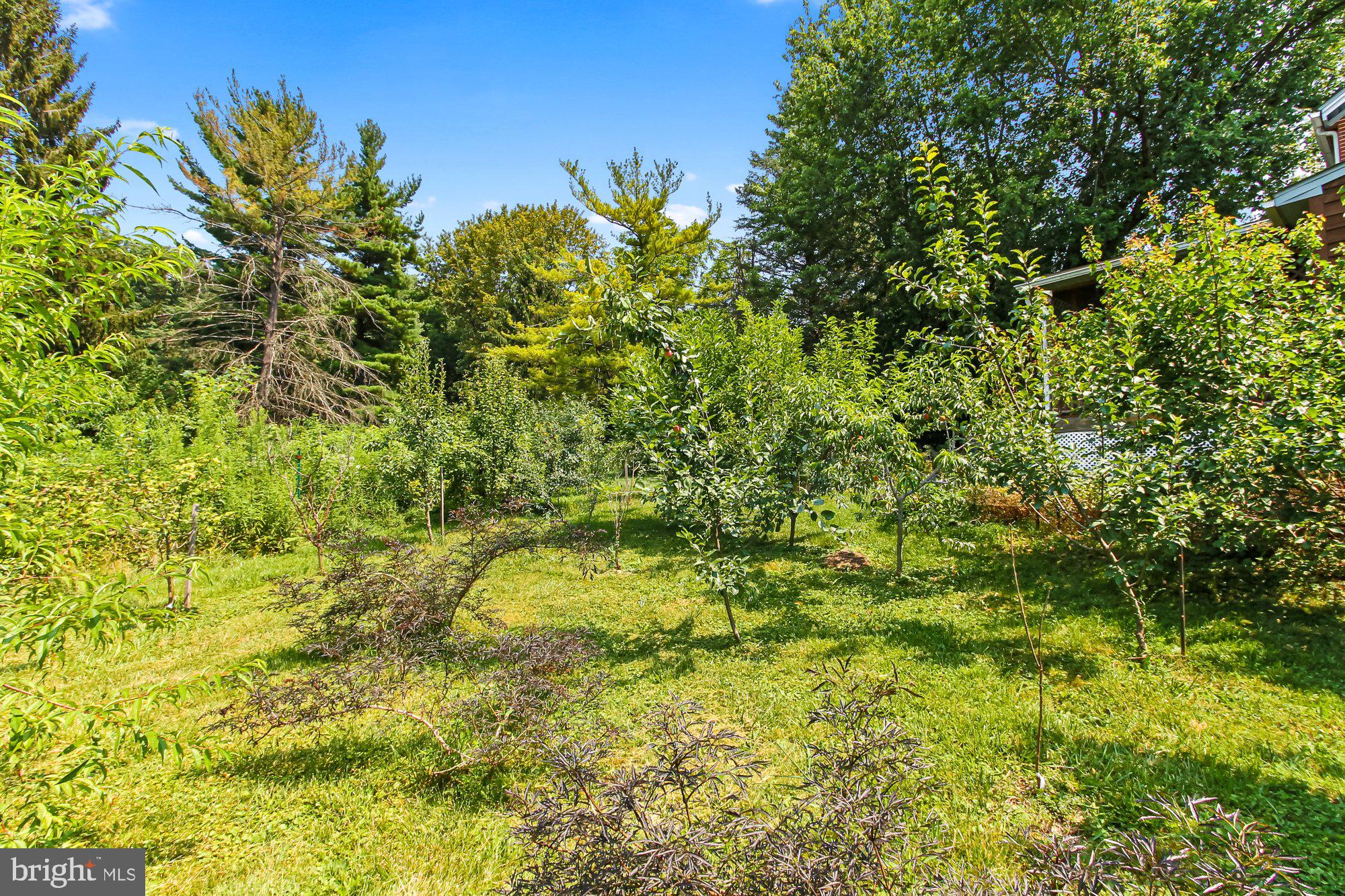 5431 Lineboro Road Manchester, MD 21102 - Photo 54 of 73