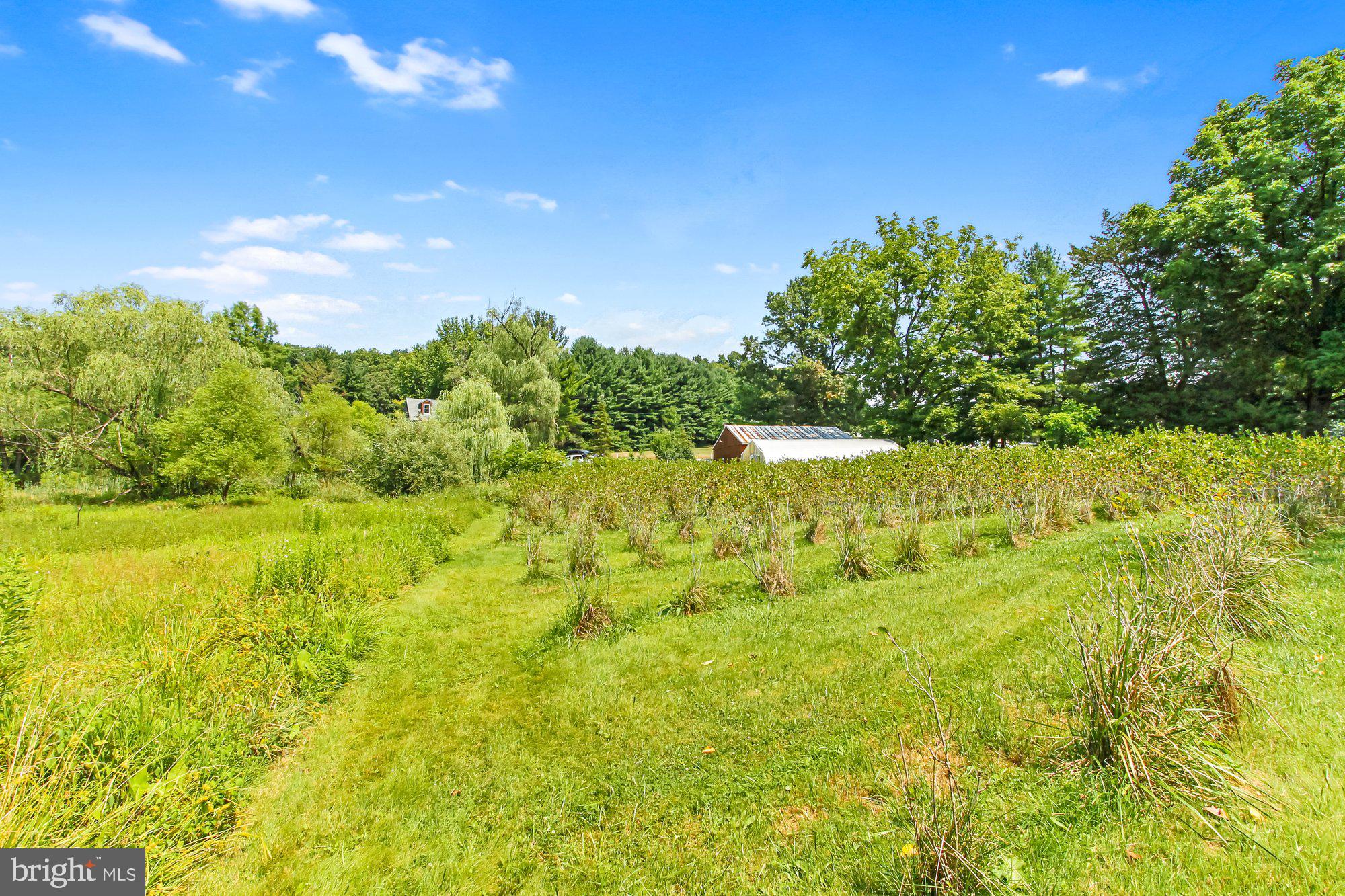 5431 Lineboro Road Manchester, MD 21102 - Photo 61 of 73