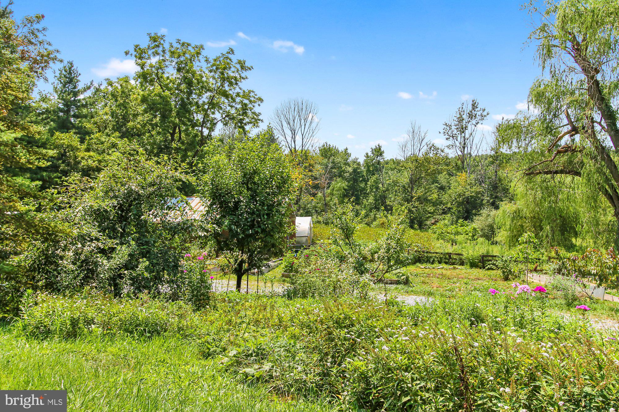 5431 Lineboro Road Manchester, MD 21102 - Photo 64 of 73