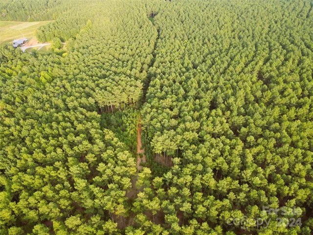 $1,295,000 | 3349 1 Hollis Road, Ellenboro, NC 28040