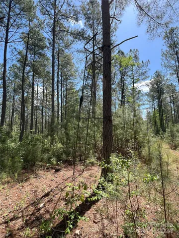 $1,295,000 | 3349 1 Hollis Road, Ellenboro, NC 28040