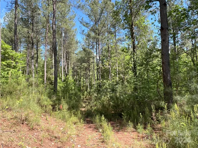 $1,295,000 | 3349 1 Hollis Road, Ellenboro, NC 28040