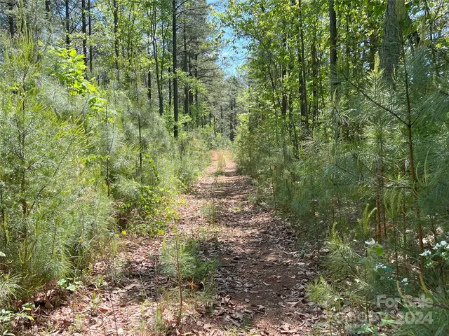 $1,295,000 | 3349 1 Hollis Road, Ellenboro, NC 28040