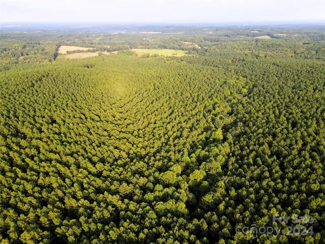 $1,295,000 | 3349 1 Hollis Road, Ellenboro, NC 28040