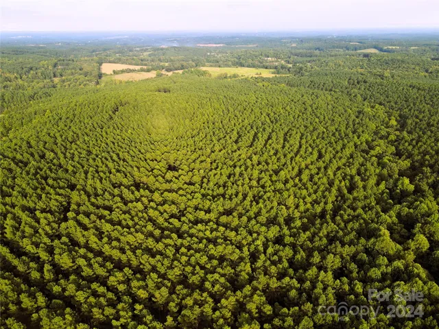 $1,295,000 | 3349 1 Hollis Road, Ellenboro, NC 28040