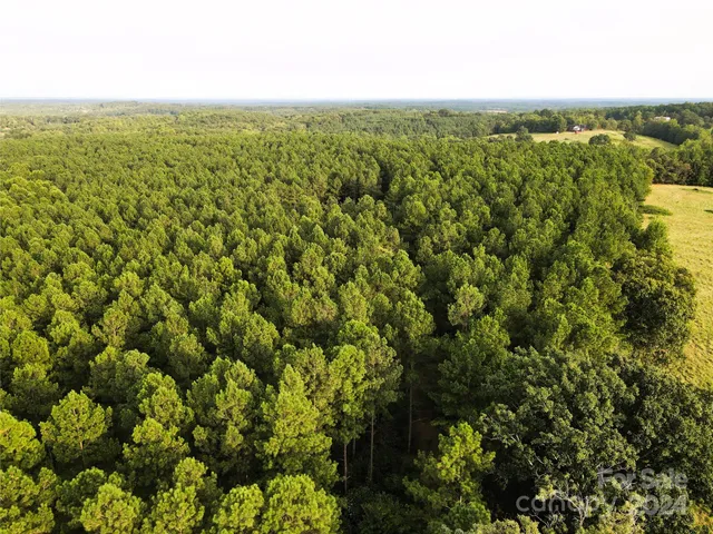 $1,295,000 | 3349 1 Hollis Road, Ellenboro, NC 28040