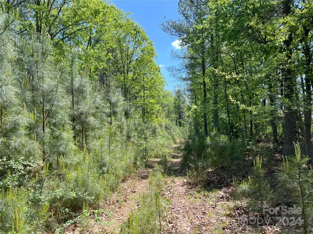 $1,295,000 | 3349 1 Hollis Road, Ellenboro, NC 28040