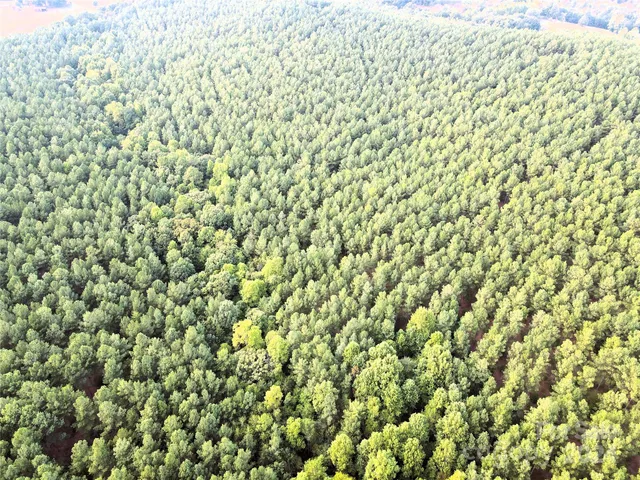 $1,295,000 | 3349 1 Hollis Road, Ellenboro, NC 28040