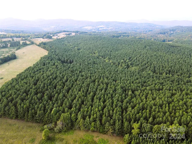 $1,295,000 | 3349 1 Hollis Road, Ellenboro, NC 28040