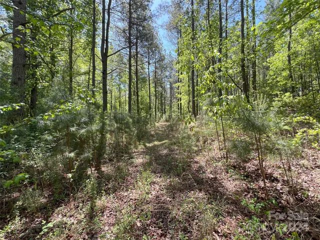 $1,295,000 | 3349 1 Hollis Road, Ellenboro, NC 28040