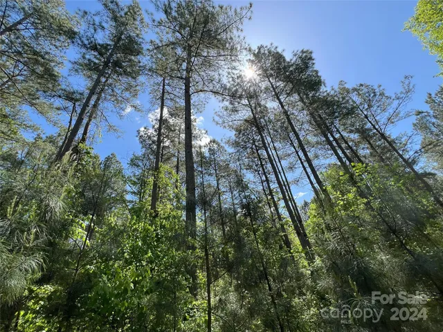 $1,295,000 | 3349 1 Hollis Road, Ellenboro, NC 28040