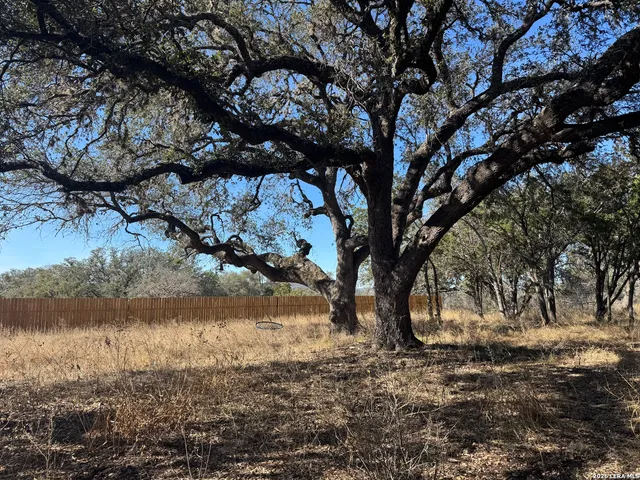 a view of a field with trees in the background