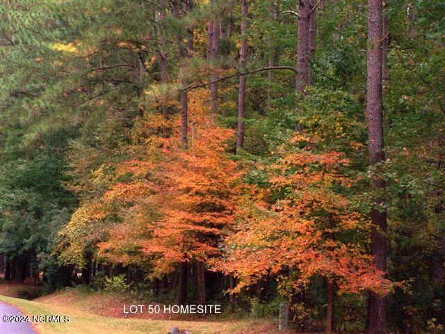 $72,500 | 279 Mill Creek Lane, Bath, NC 27808