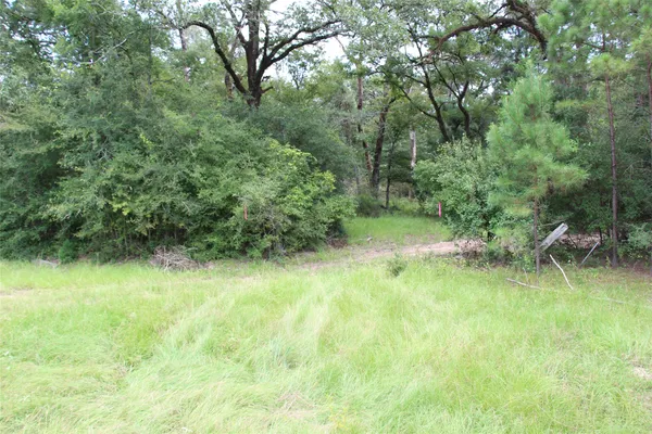 a view of a lake with houses in the back