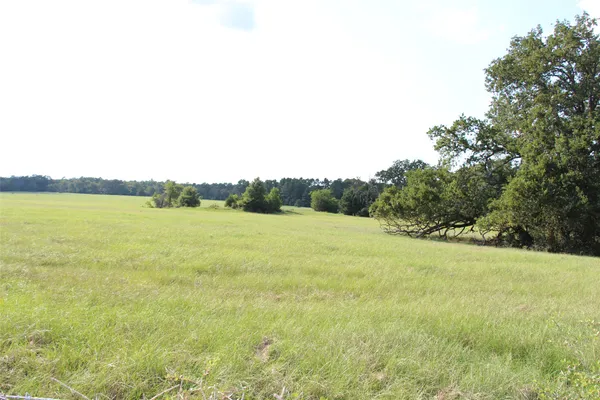 a view of an ocean and beach