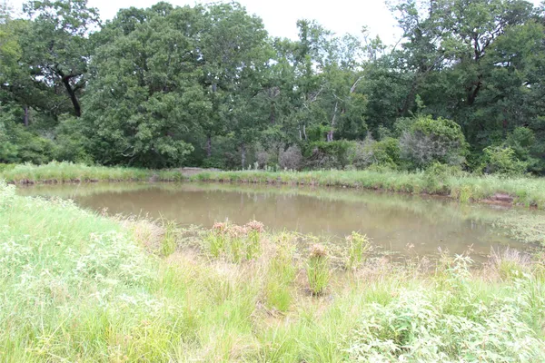 a view of a field with an ocean view