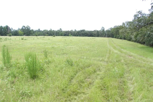 a view of an ocean from a yard