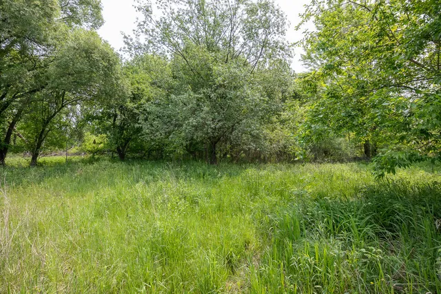 $530,000 | 197 East Elm Street, Cedar Springs, MI 49319