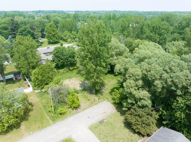 $530,000 | 197 East Elm Street, Cedar Springs, MI 49319