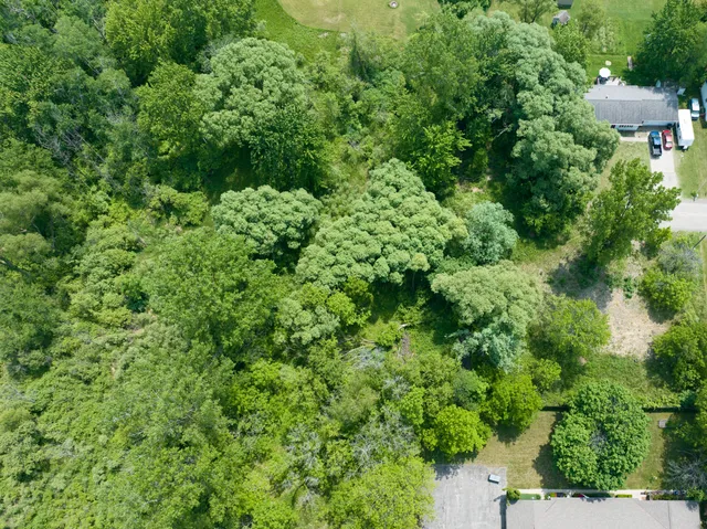 $530,000 | 197 East Elm Street, Cedar Springs, MI 49319