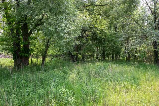 $530,000 | 197 East Elm Street, Cedar Springs, MI 49319