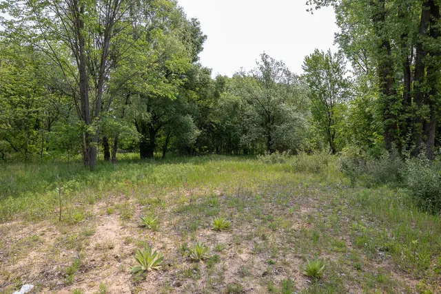 $530,000 | 197 East Elm Street, Cedar Springs, MI 49319