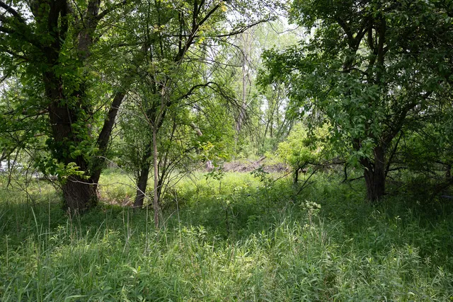 $530,000 | 197 East Elm Street, Cedar Springs, MI 49319