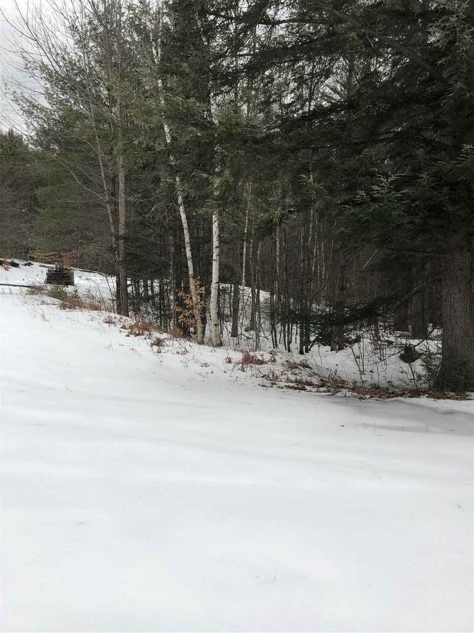 123 Turner Road Wentworth, NH 03282 - Photo 1 of 6