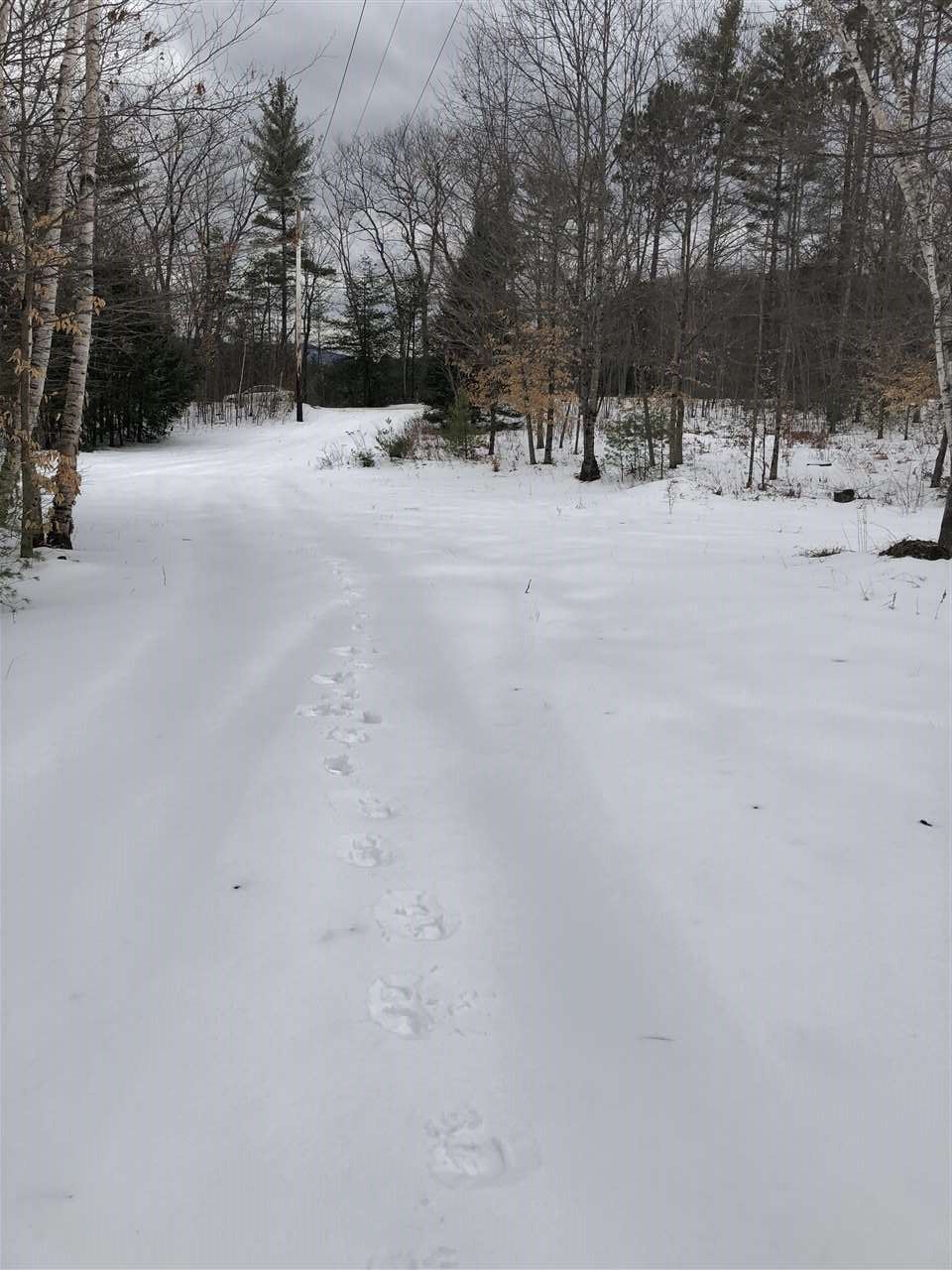 123 Turner Road Wentworth, NH 03282 - Photo 3 of 6