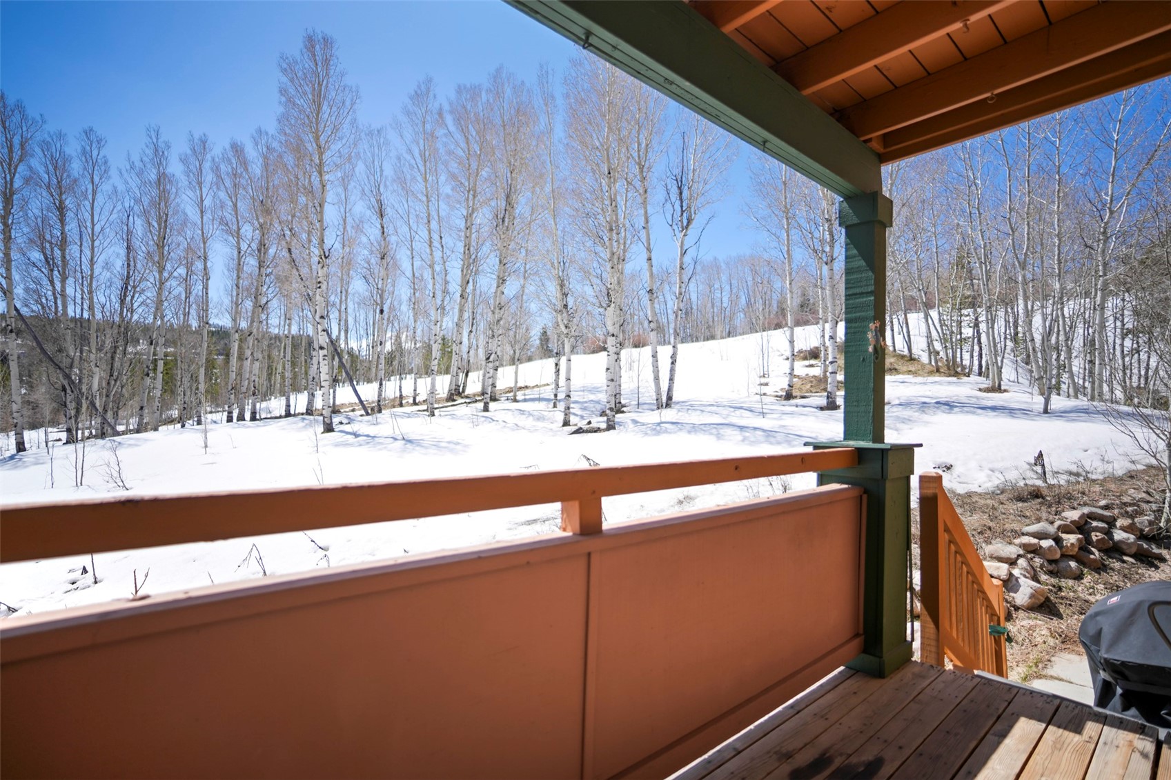 201 Ryan Gulch Road, Unit B Silverthorne, CO 80498 - Photo 21 of 24 Gallery Image 21