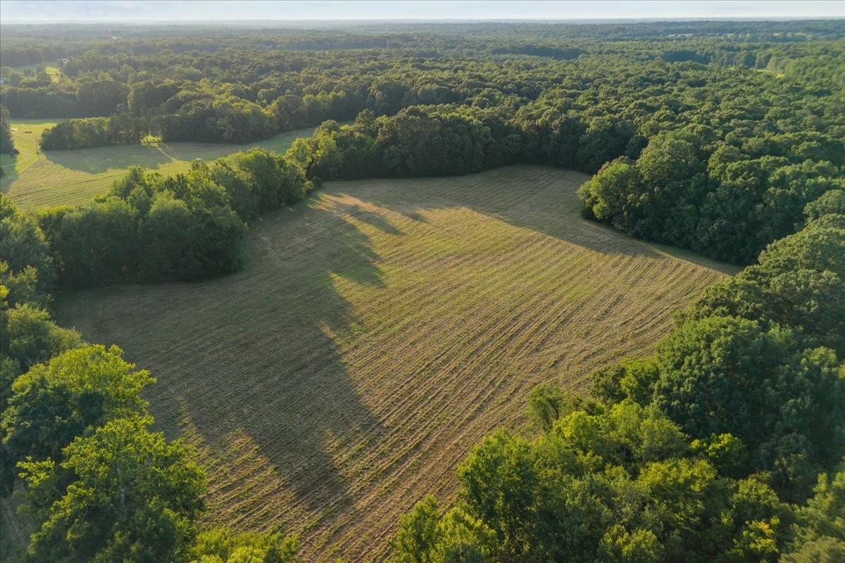 0 Cedar Grove Road Big Sandy, TN 38221 - Photo 11 of 37 Gallery Image 11