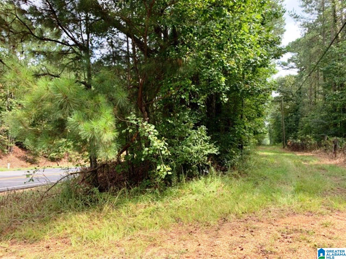 78 St E Acres Al, Unit 101 Anniston, AL 36207 - Photo 12 of 17